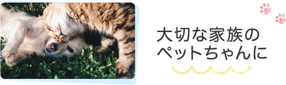 大切な家族のペットちゃんに