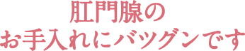 肛門腺の お手入れにバツグンです 